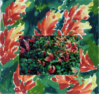 processing a life image 24